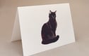 Cat Cards & Flower cards