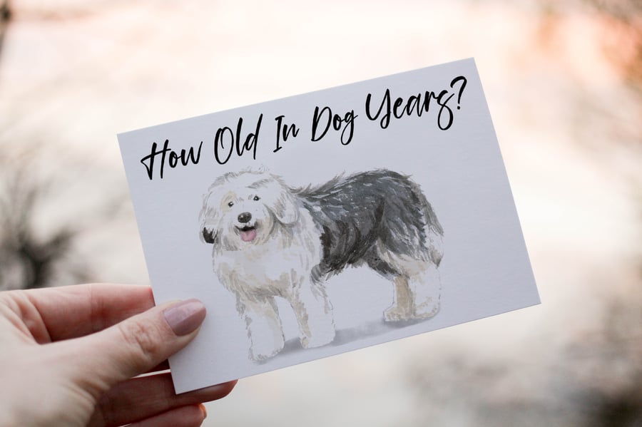 Old English Sheepdog Birthday Card, Dog Birthday Card, Personalized Dog Breed