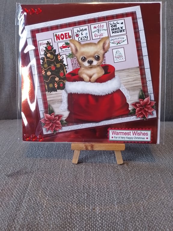 Chihuahua in Christmas sack Christmas card