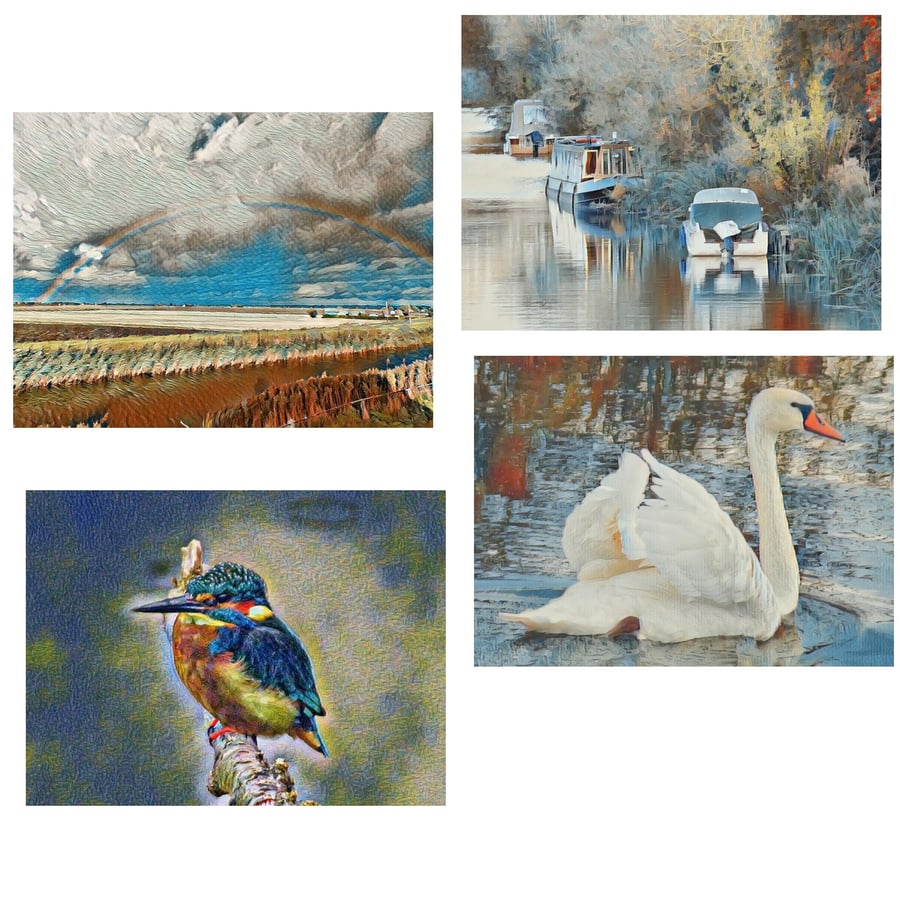  Pack of 4 Mixed Cards Kingfisher, Swan, Boats & Rainbow Norfolk 