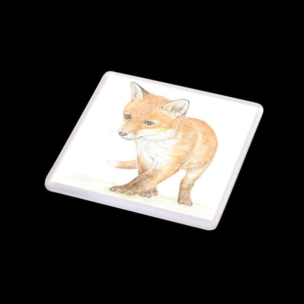 Fox Cub - Coaster