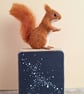 Oak Block - Red Squirrel - Image 5