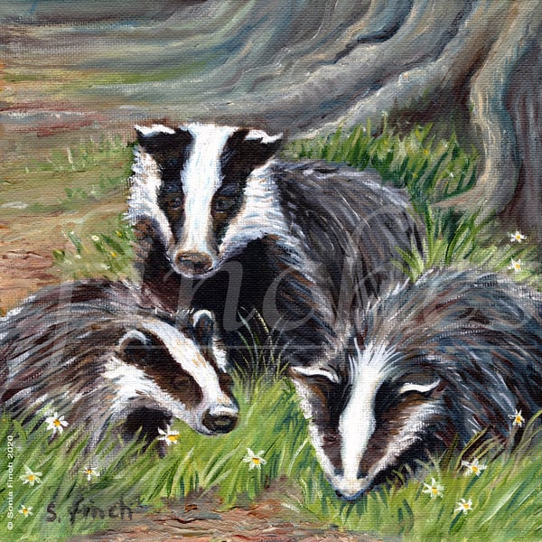 Spirit of Badger -  Limited Edition Giclée Print