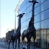 Twisted Pixie Clothing