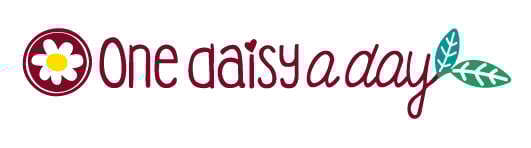 One Daisy a Day