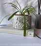 Handcrafted iris flower or storage pot, birthday, wedding, housewarming