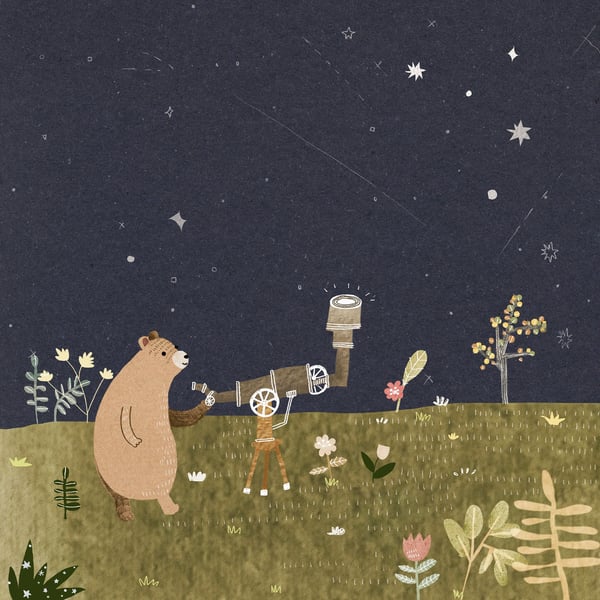Brown Bear Astronomer Art Print 148mm with Envelope