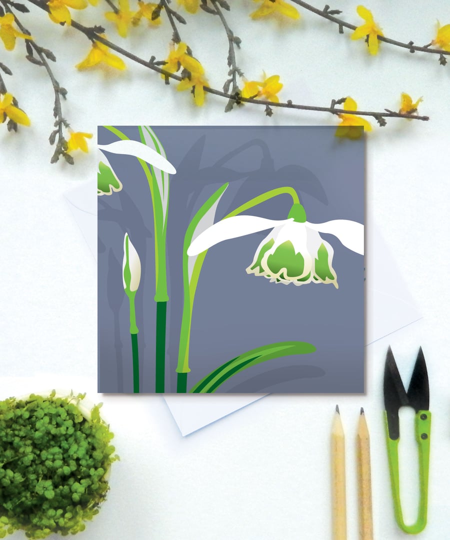 Double Snowdrop Card - Spring, birthday, for gardeners