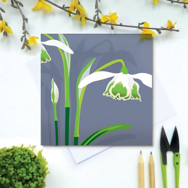 Double Snowdrop Card - Spring, birthday, for gardeners