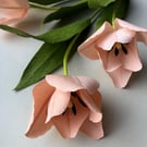 Paper flowers - peach tulip