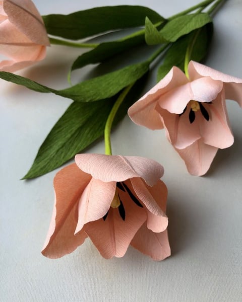 Paper flowers - peach tulip
