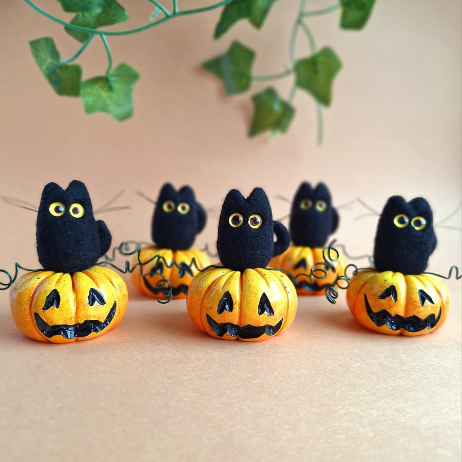 Pumpkin Cat - Carved Face Pumpkin