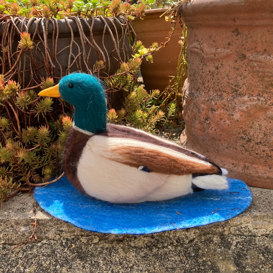 Needle felted male mallard duck