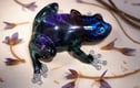 Frogs