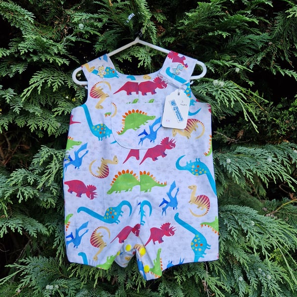 Age: 3m Assorted Coloured Dinosaurs