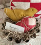 Primitive chick - Image 2