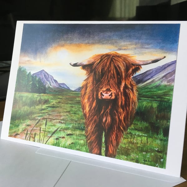 Highland Cow Greetings Card