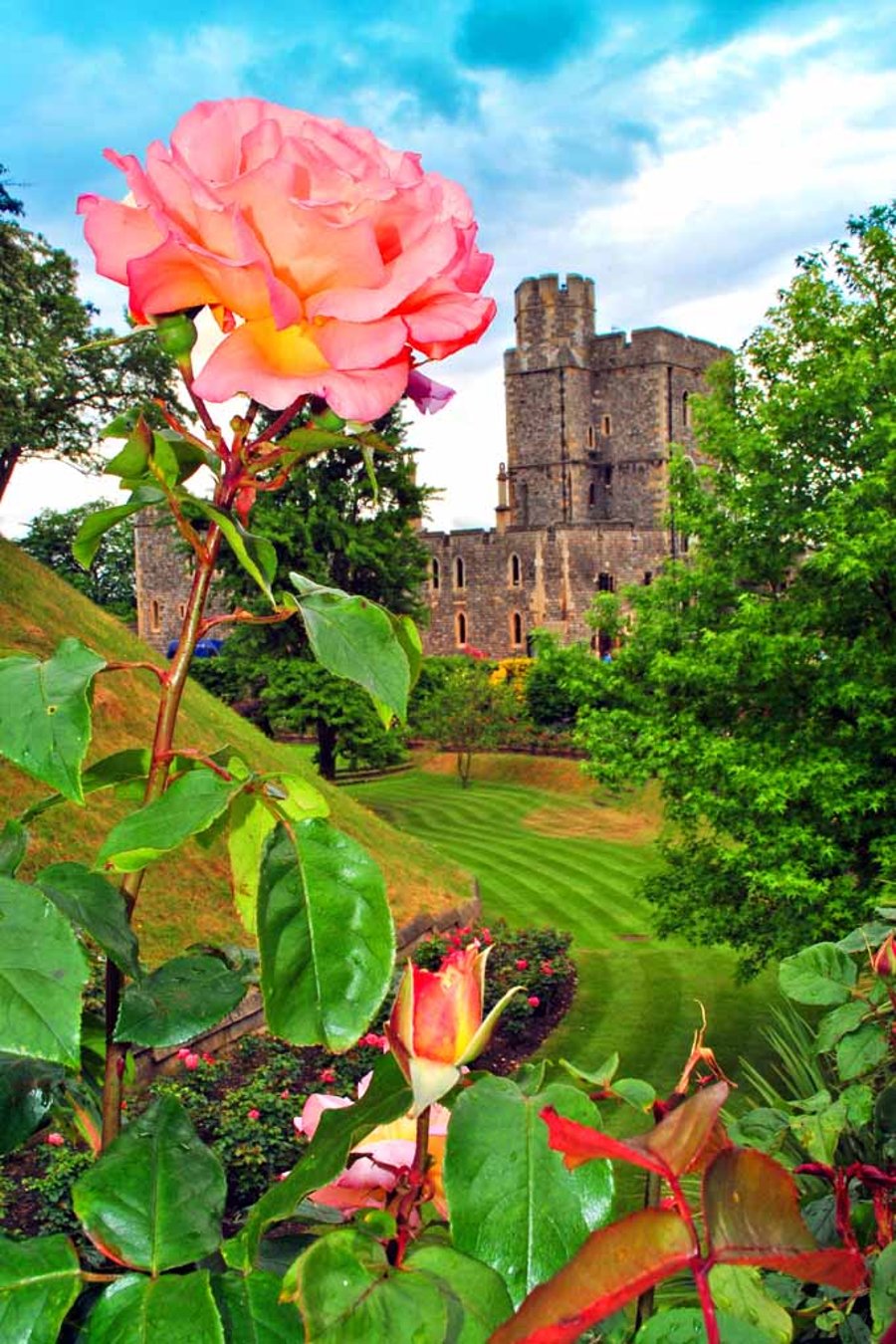 Windsor Castle Gardens Berkshire England Photograph Print