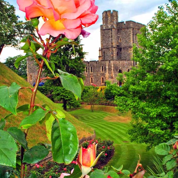 Windsor Castle Gardens Berkshire England Photograph Print