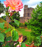 Windsor Castle Gardens Berkshire England Photograph Print