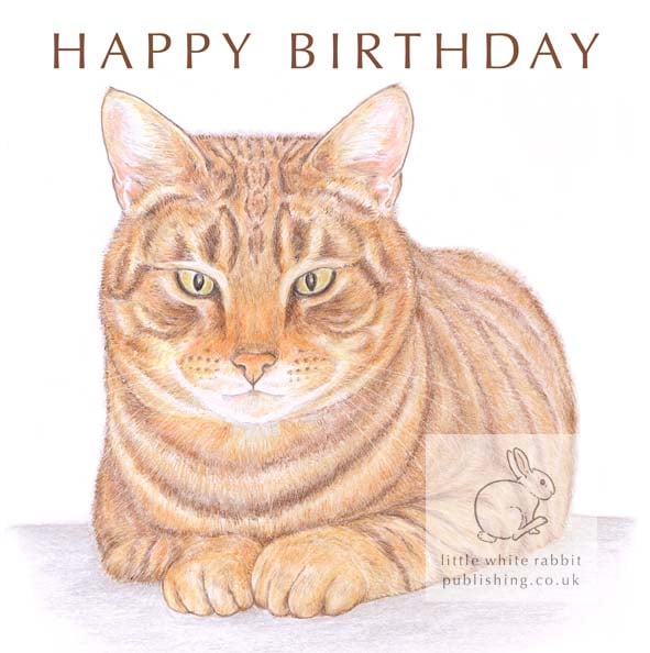 Monty the Cat - Birthday Card