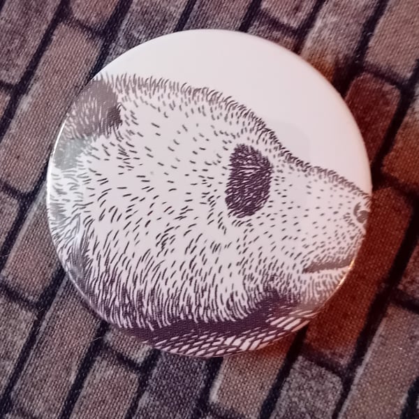 Picture Book  Badge - Panda