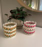 Crochet Tulip Pen Pot - Desk Organiser