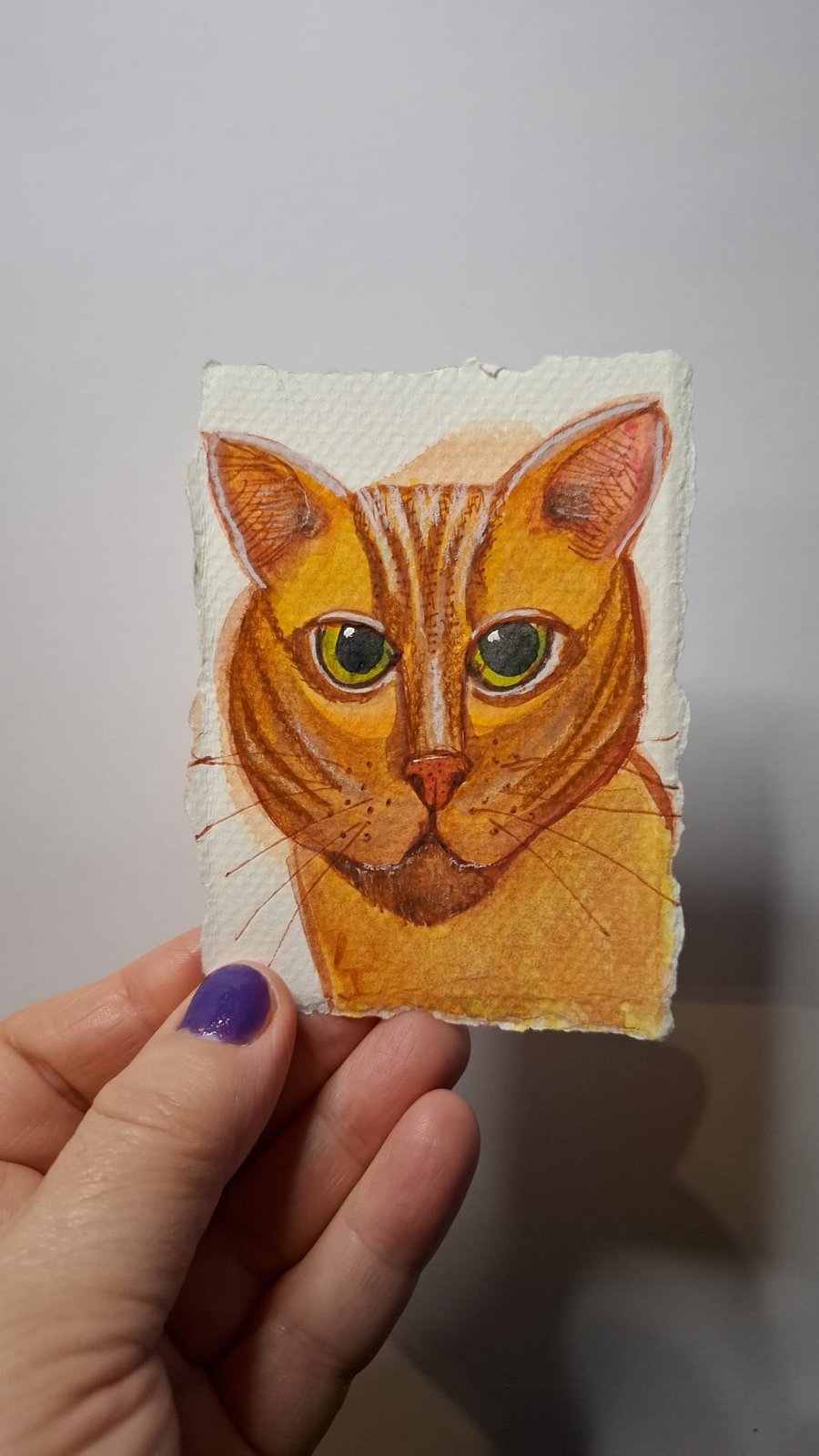 Ginger cat portrait illustration 