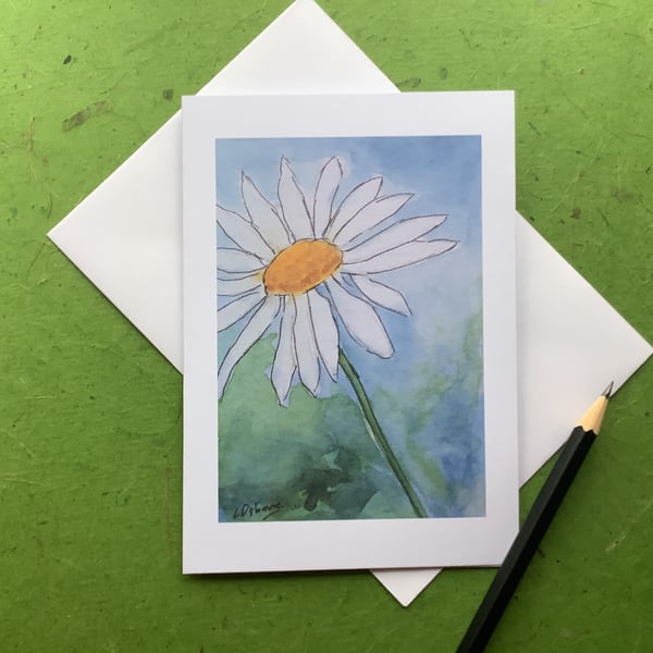 White daisy - greetings card - blank for your own message