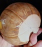 Phyllis Pumpkin - ceramic decoration - Image 2