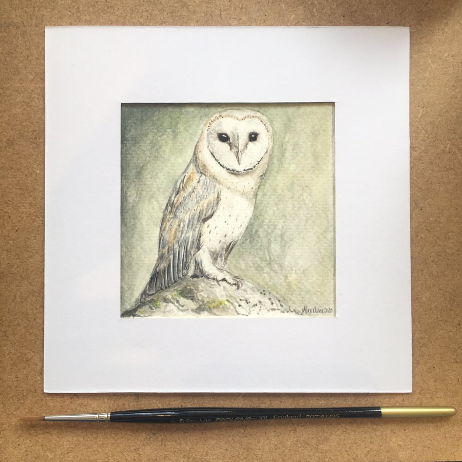 Barn Owl Watercolour Painting
