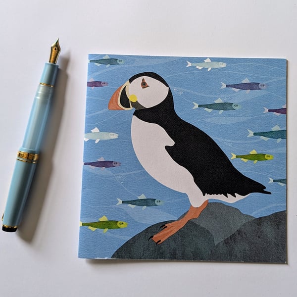 Puffin Blank Greetings Card  Birthday Card Bird Coastal