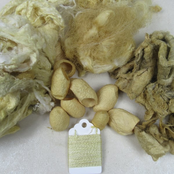 Natural Dye Weld Yellow Mixed Silk Fibre Texture Craft Pack