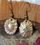 Bronze Shell Earrings - Image 1