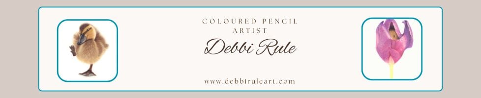 Debbi's Designs