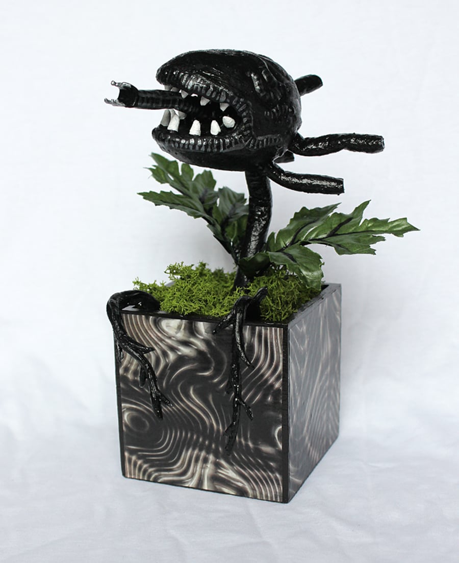 Alien Plant