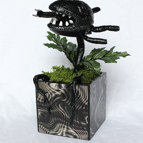 Alien Plant