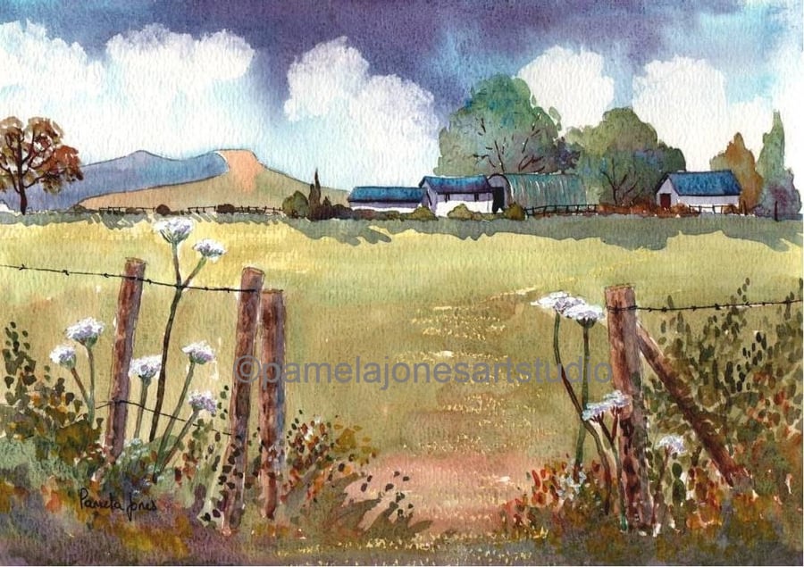 Farm, Cow Parsley, in The Brecon Beacons, South Wales in 8 x6 '' Mount
