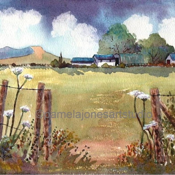 Farm, Cow Parsley, in The Brecon Beacons, South Wales in 8 x6 '' Mount