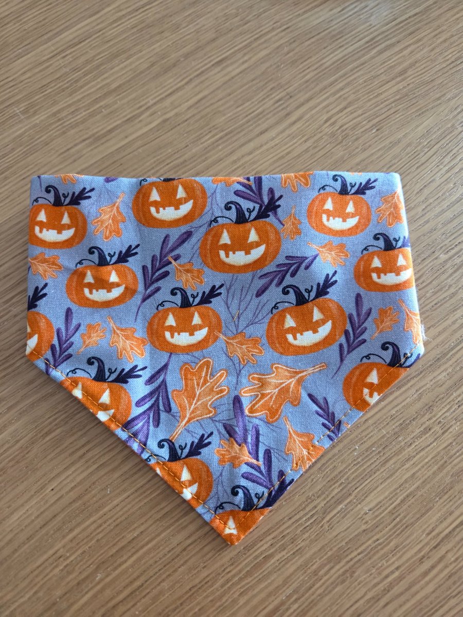 Elasticated slip-on Dog Bandana - Size XS-S