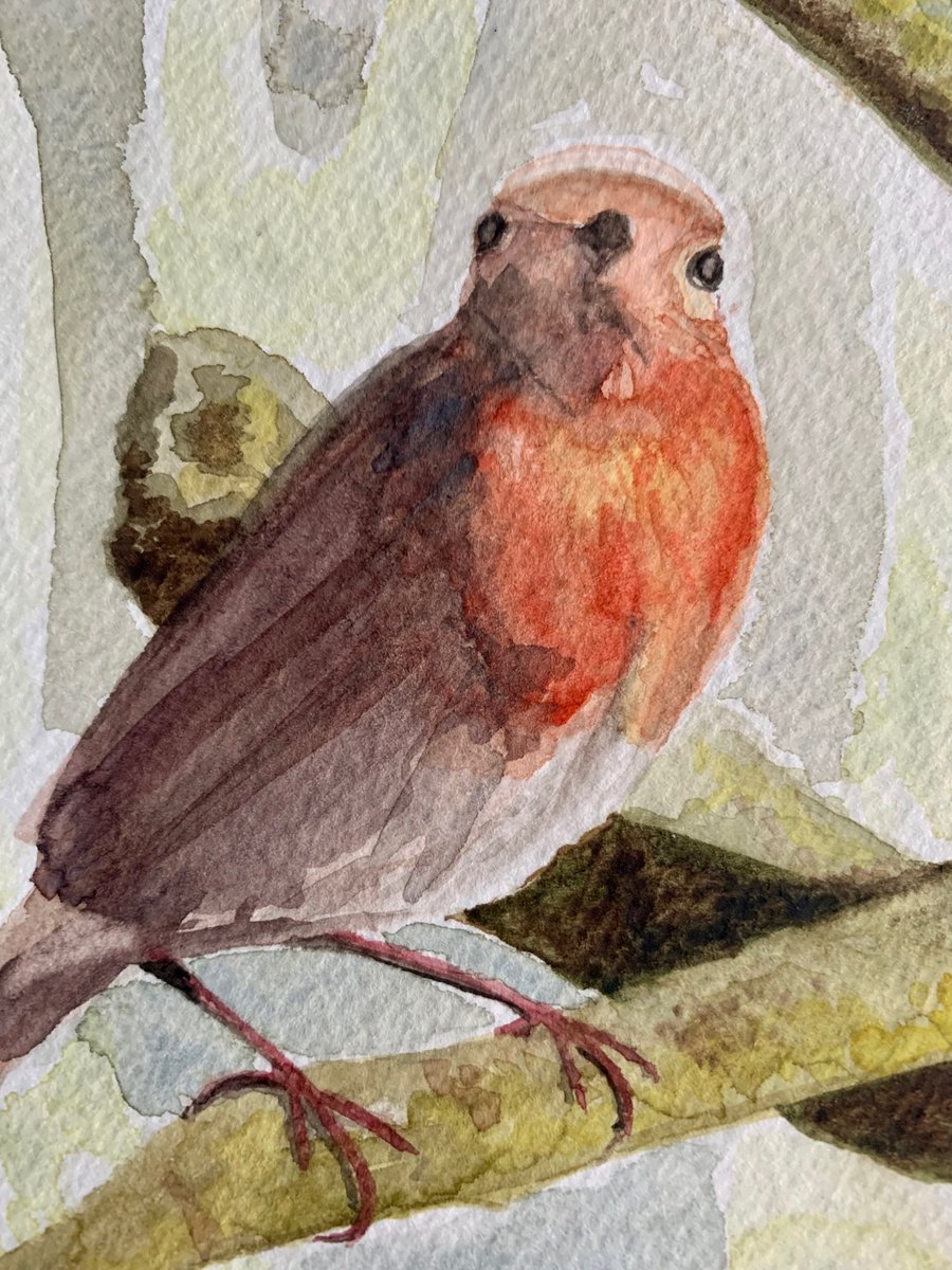 Robin bird (original watercolour painting)
