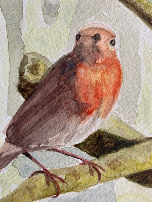 Robin bird (original watercolour painting)