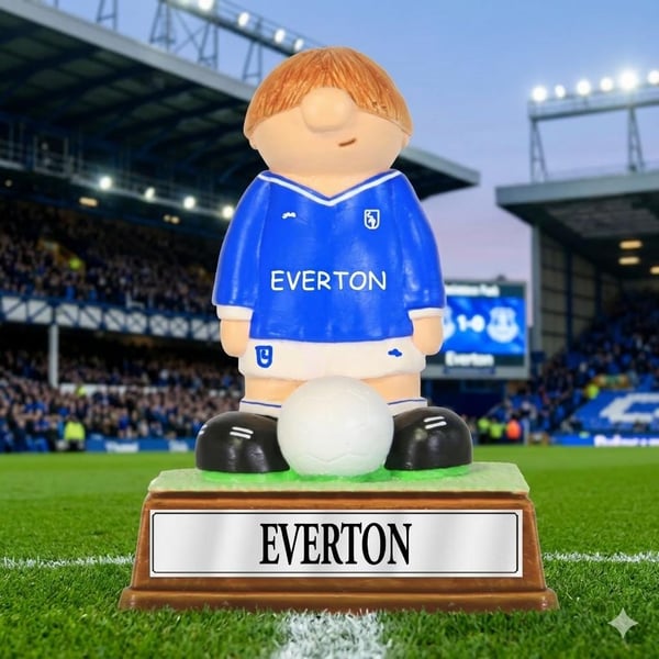 Everton FC Personalised Fan Gift. Custom Birthday Retirement Dad Son Present