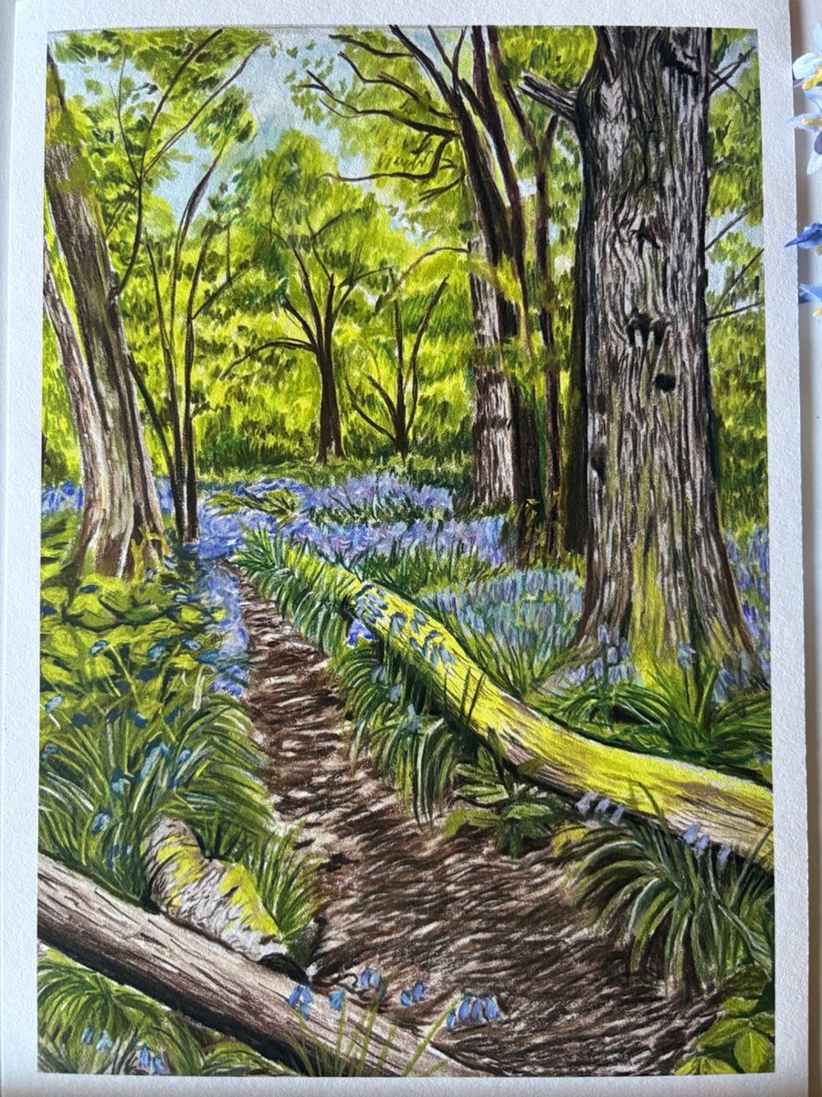 The ringing of the bells- bluebell wood picture 