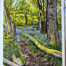 The ringing of the bells- bluebell wood picture 