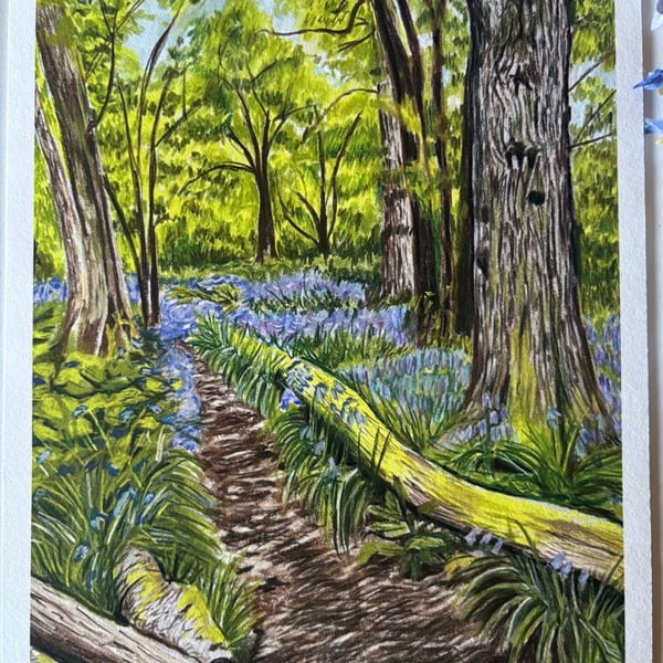 The ringing of the bells- bluebell wood picture 