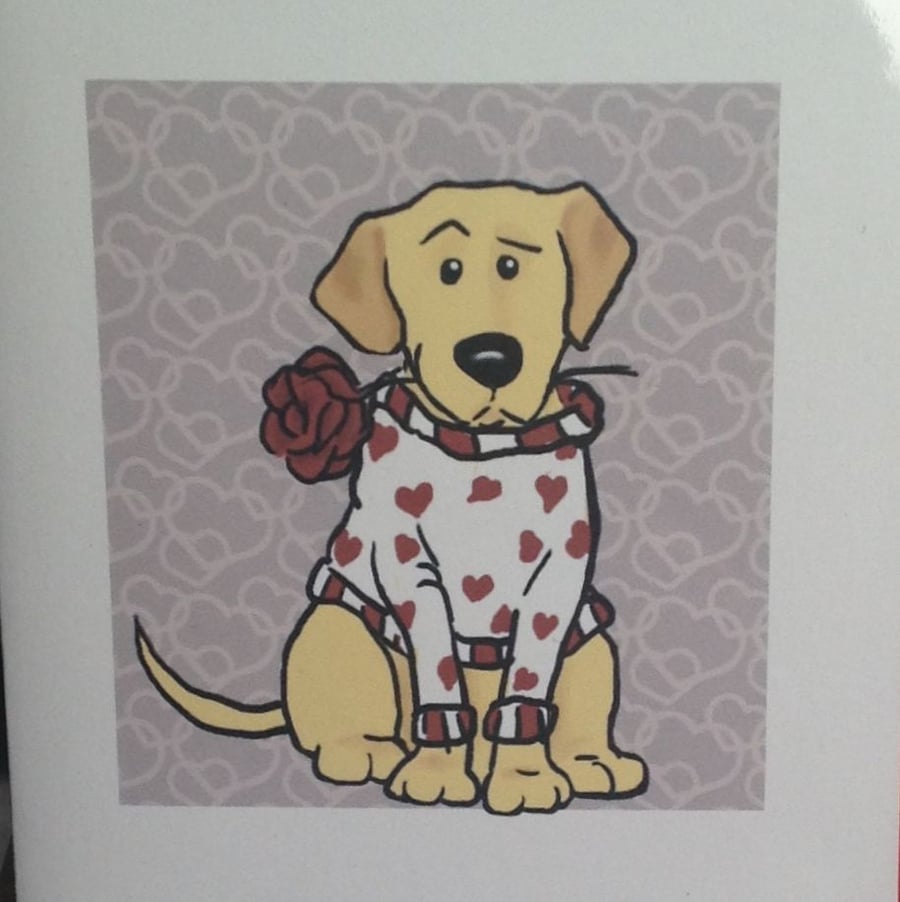 Yellow Labrador Rose card 