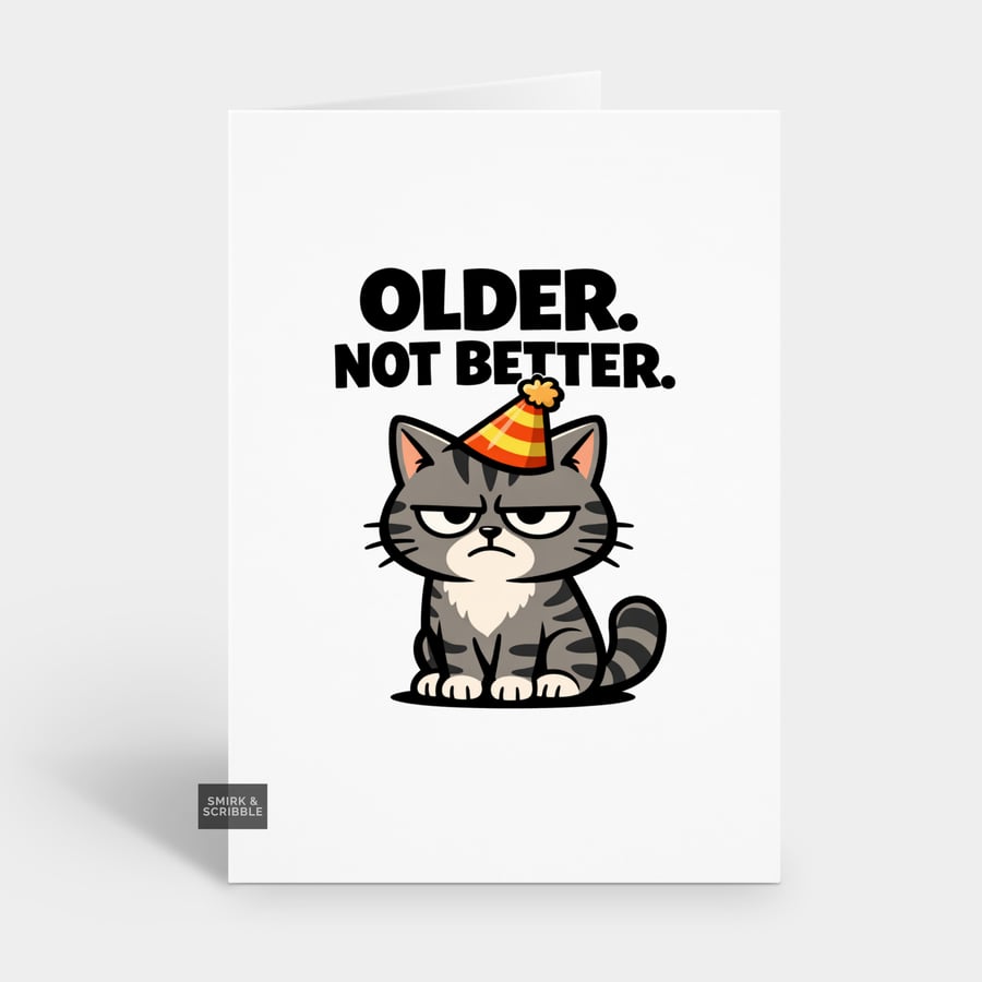 Funny Grumpy Birthday Card For Him Or Her - Older Not Better Cat