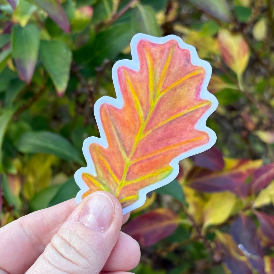 Orange-Red Oak Leaf Sticker