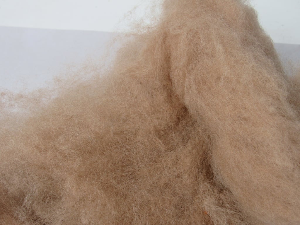 10g Naturally Dyed Walnut Brown Llanwenog Felting Wool